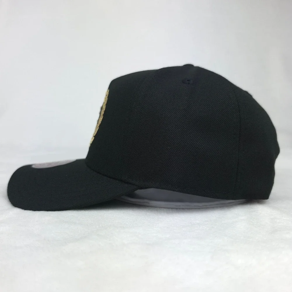 Florida‎ Marlins Mitchell & Ness MLB Pro Fit Snapback Hat Cap Ivy 3D Logo NWT